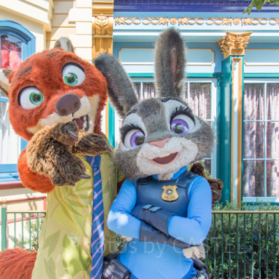 ジュディのパスケース（左側）とニックのパスケース（右側