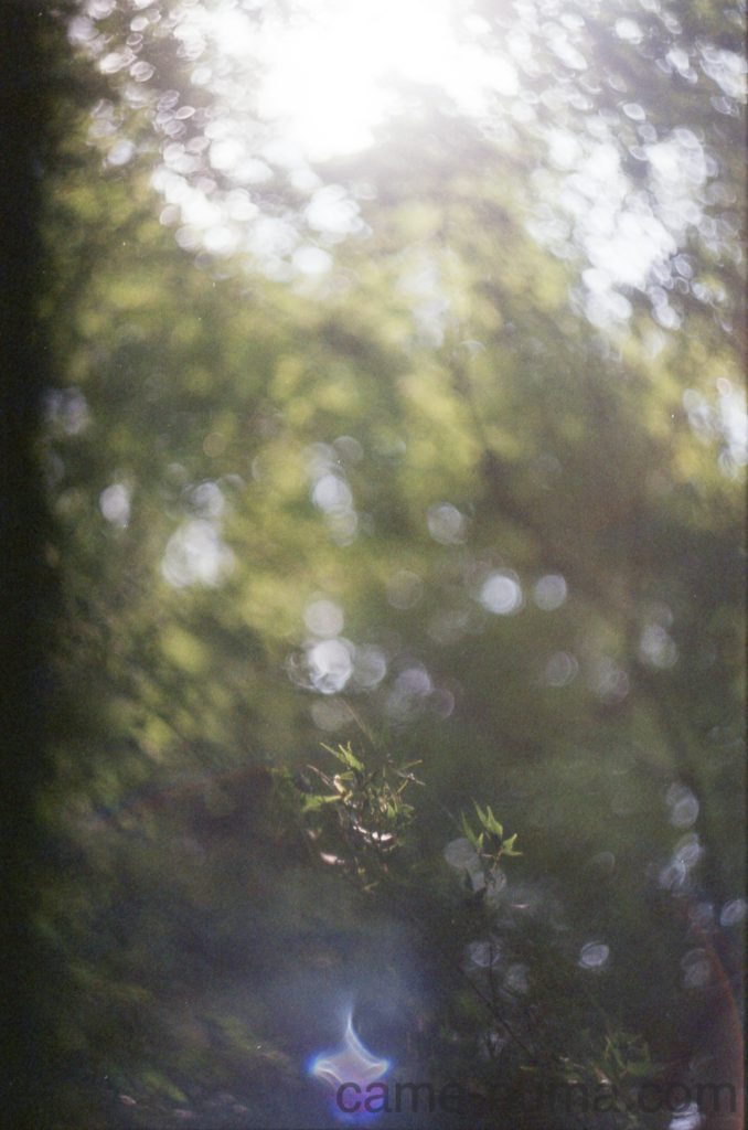 ぐるぐるボケのロシアンレンズ「Helios 44」 | カメヌマ