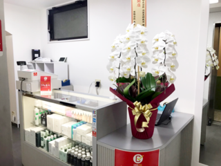 クロロフイル│店舗検索