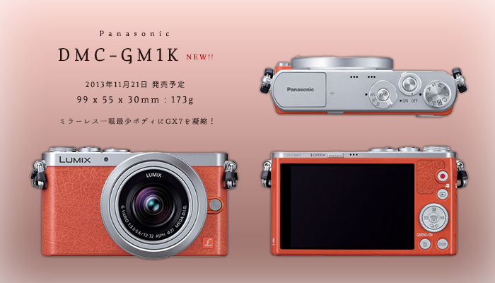 DMC-GM1K | かめらとブログ。