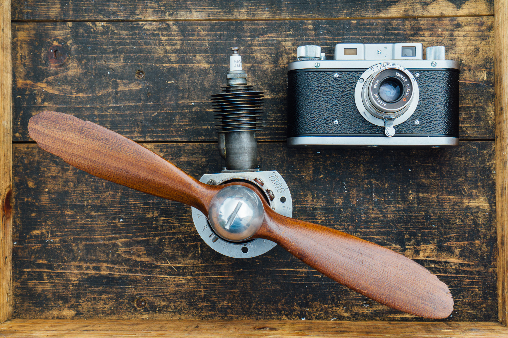 Mometta II – camerajunky