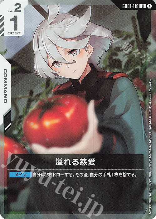 ハマーン プロモ ニュータイプチャレンジ 上位賞 パラレル 4種 ニュー