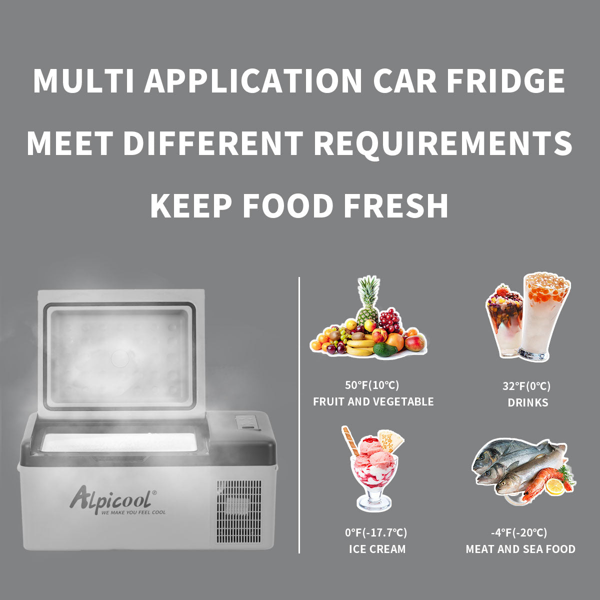 Alpicool C15 Portable Car Fridge