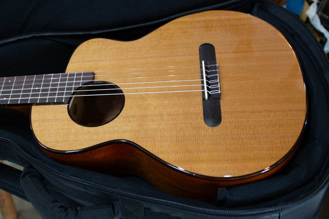 aNueNue aNN-MN14 アヌエヌエ aNNMN14 ミニナイロン マイク搭載 ミニ