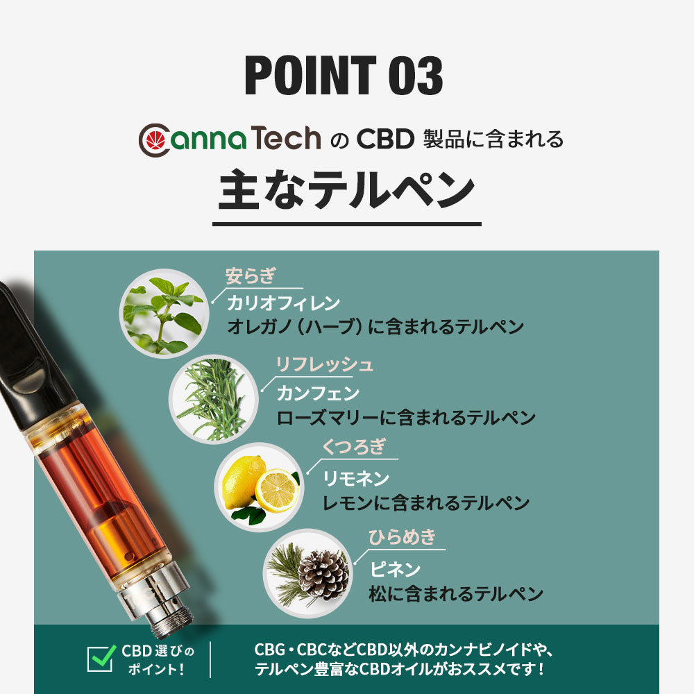 CBG 45％ リキッド カートリッジ スターターセット ( CBG450mg ) – CBD