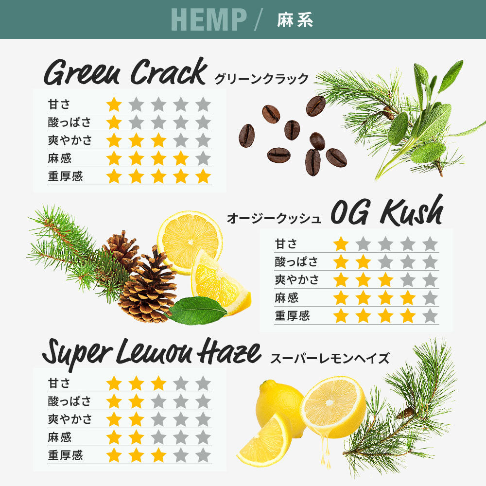 CBG 45％ リキッド カートリッジ スターターセット ( CBG450mg ) – CBD