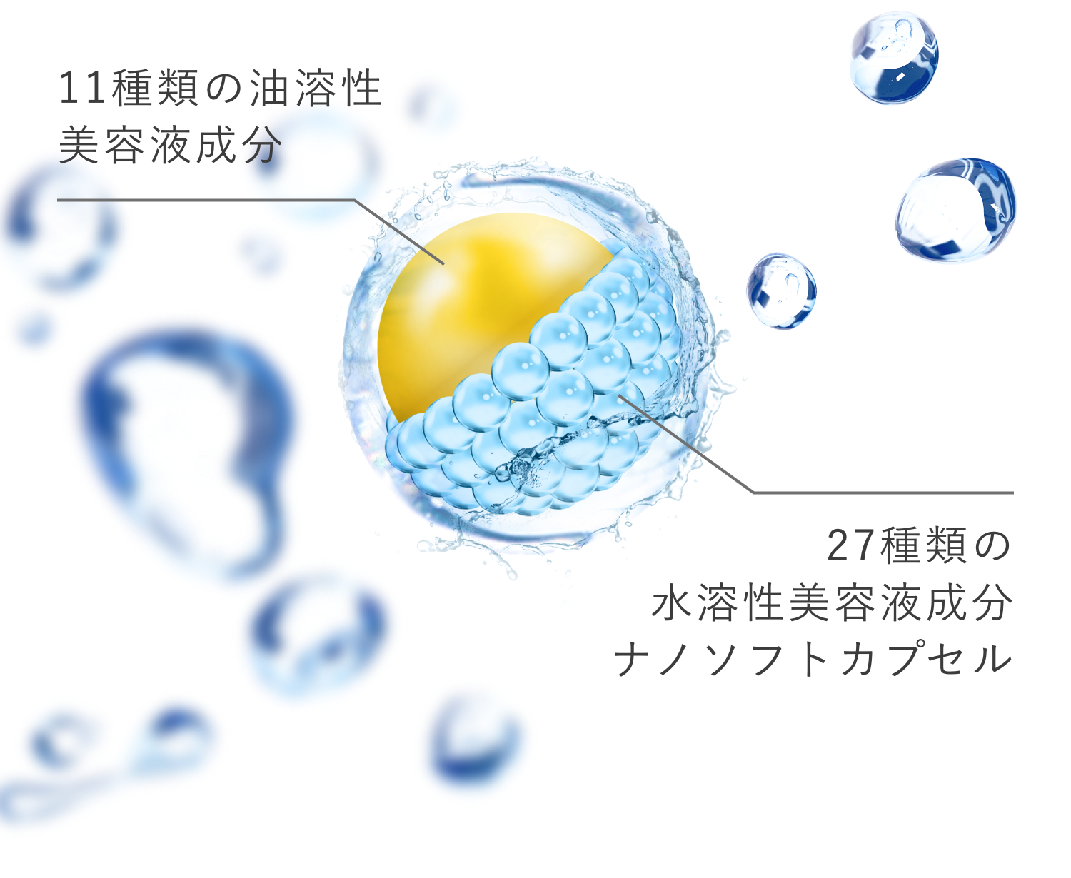 セルディナ【公式ブランドサイト】