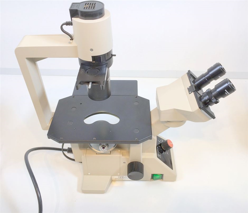 Olympus CK-2 Phase Contrast Microscope | Marshall Scientific