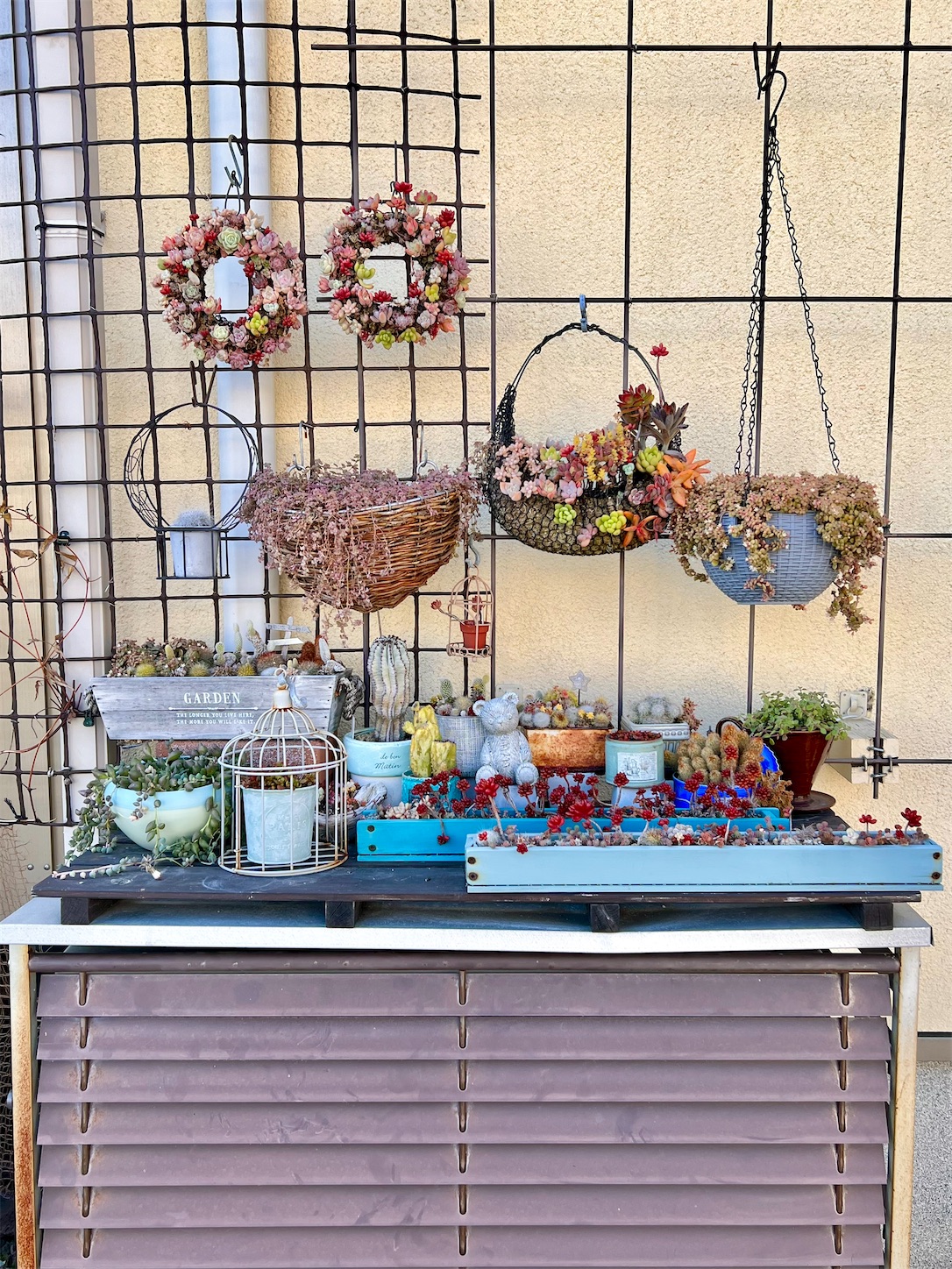 寒気到来！多肉棚を不織布で包みプチプチをつけました - 雑木と