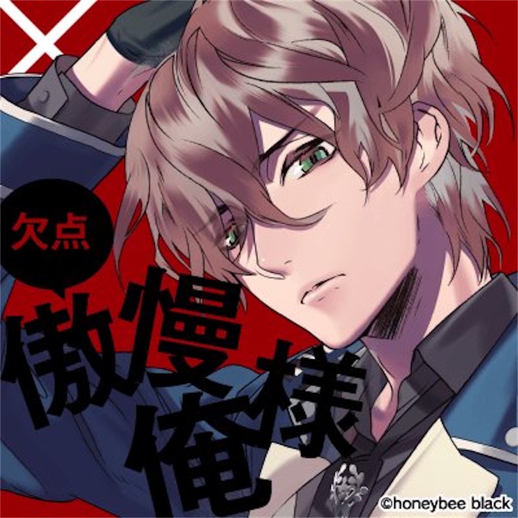 Blackish House sideA→ 初回限定版 ブラハ PCゲーム Blackish House