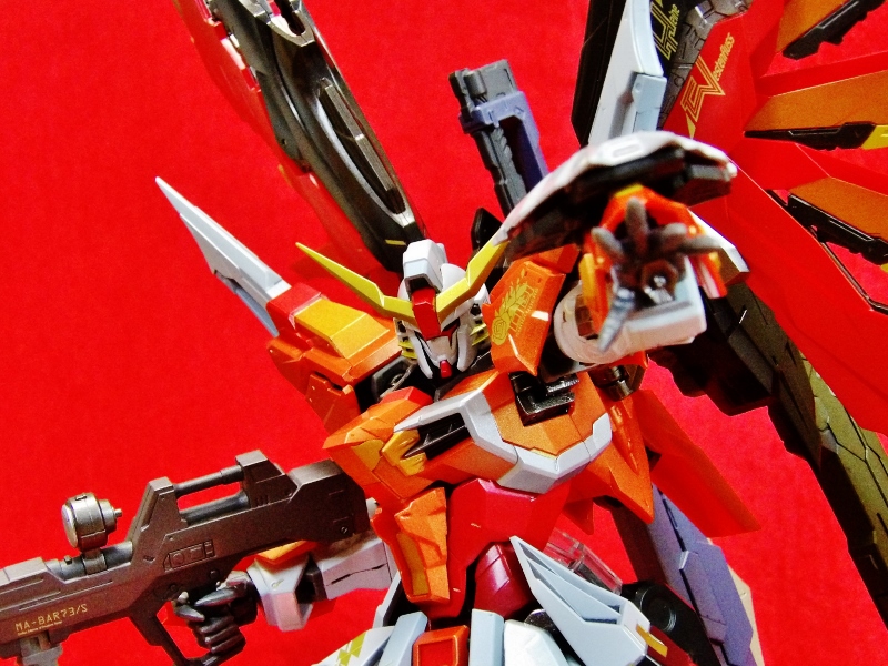 METAL BUILD デスティニーガンダム(ハイネ機) - 多々買いは数だよ兄者