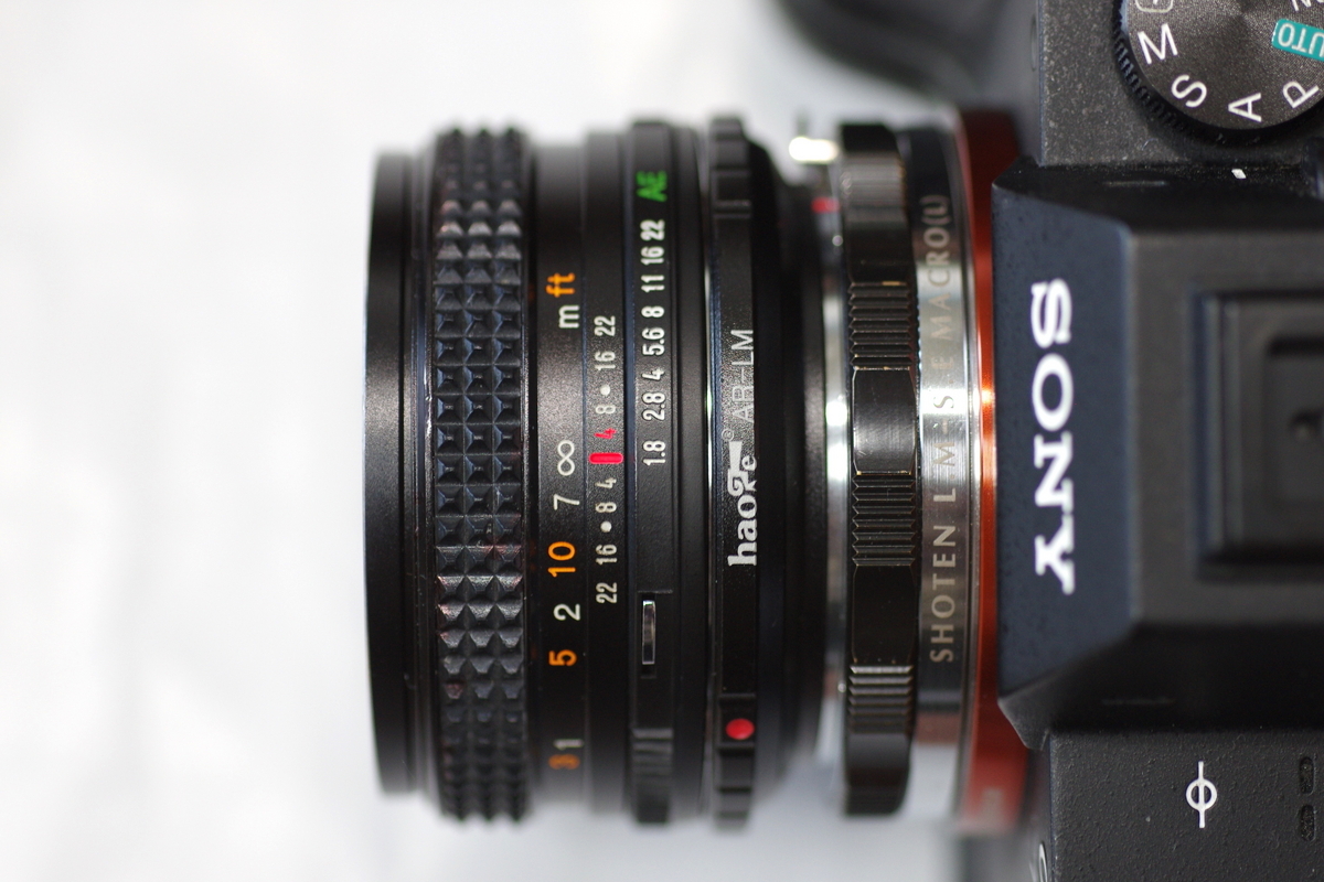 31. 「KONICA HEXANON AR 40mm F1.8」 ボケフォト的 作例