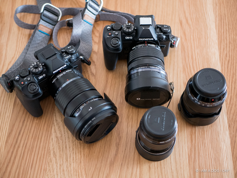 旅行中の予備レンズを軽量パンケーキレンズ2本で揃えてみた【標準