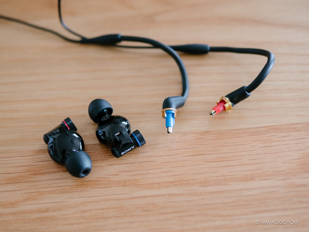 SONYのインナーイヤーモニターMDR-EX800STを楽器演奏用に買ってみた