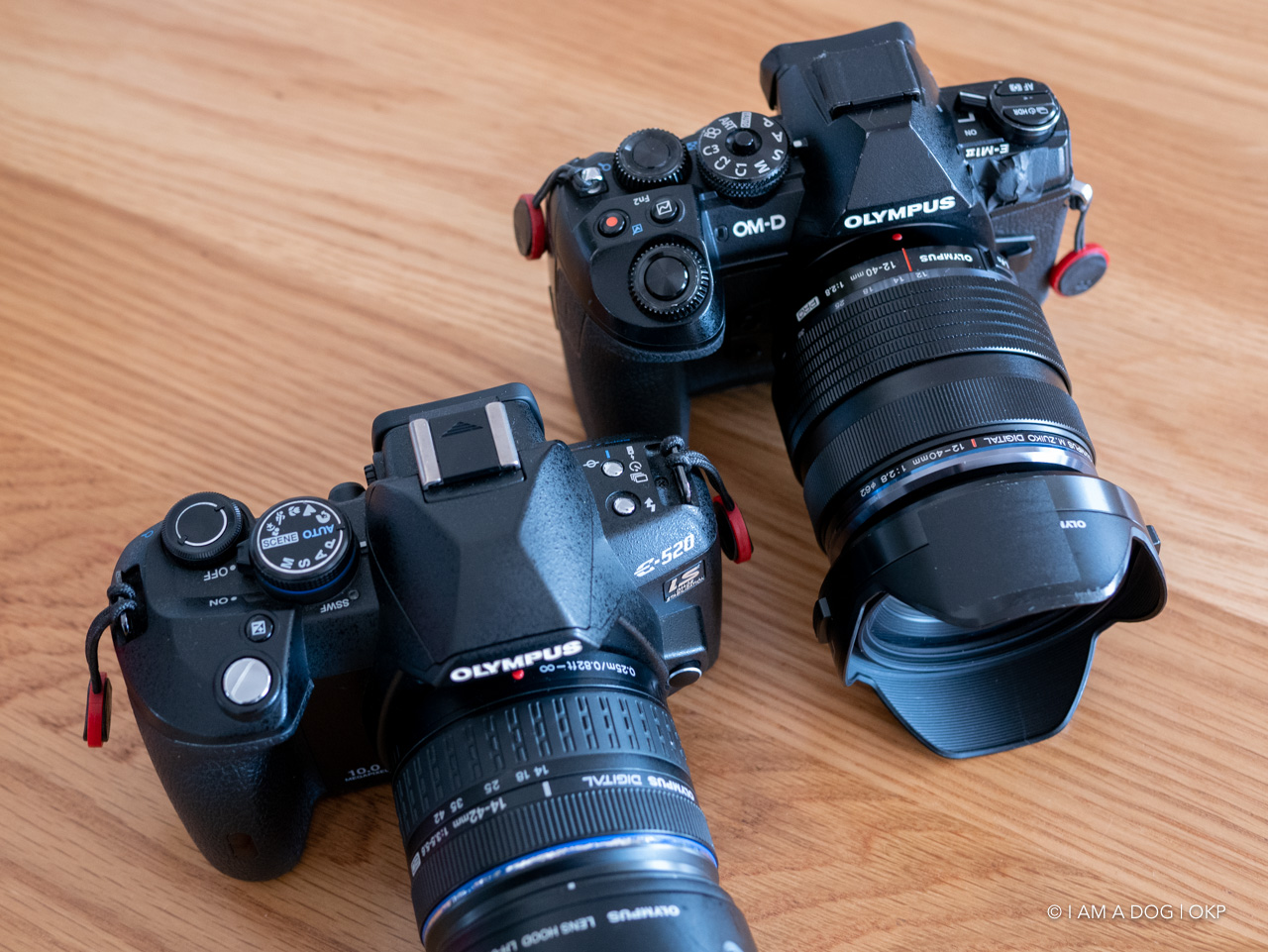 最初に手にした一眼レフカメラ OLYMPUS E-520を再び手に入れて初心を