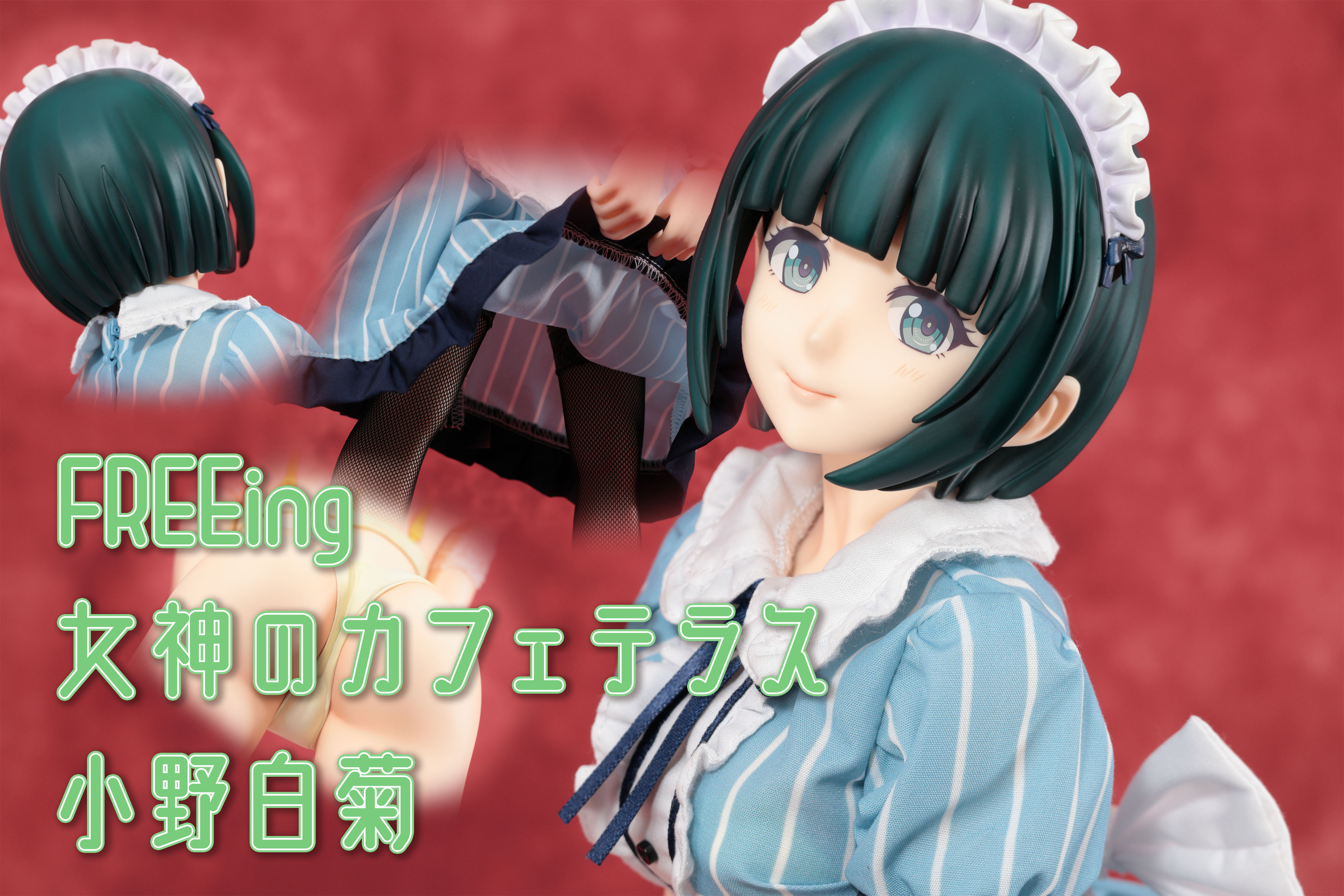 フィギュアお迎え 女神のカフェテラス 小野白菊 1/4スケールフィギュア