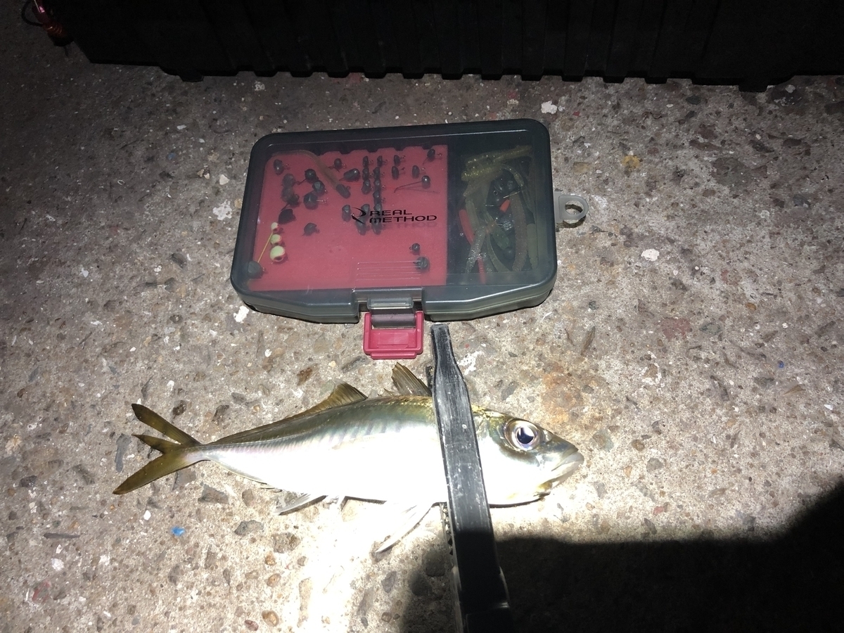 ラグゼ 宵姫 天 （よいひめ てん）S48AL-solid セカンド