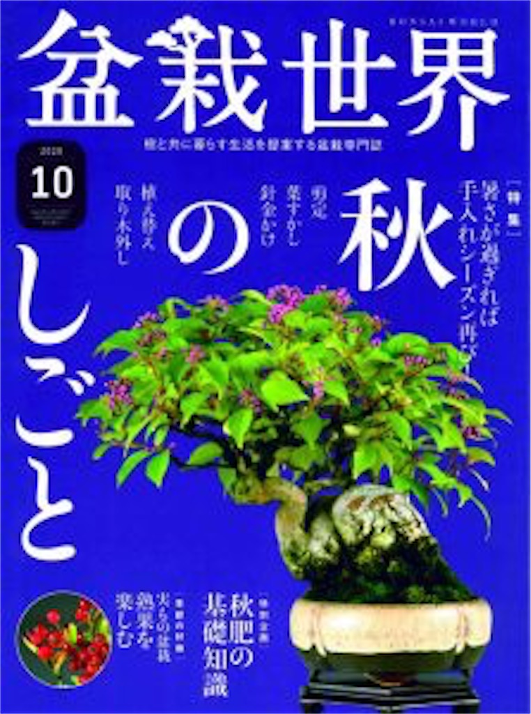 盆栽誌『盆栽世界』が面白い件について - BONSAIちえ