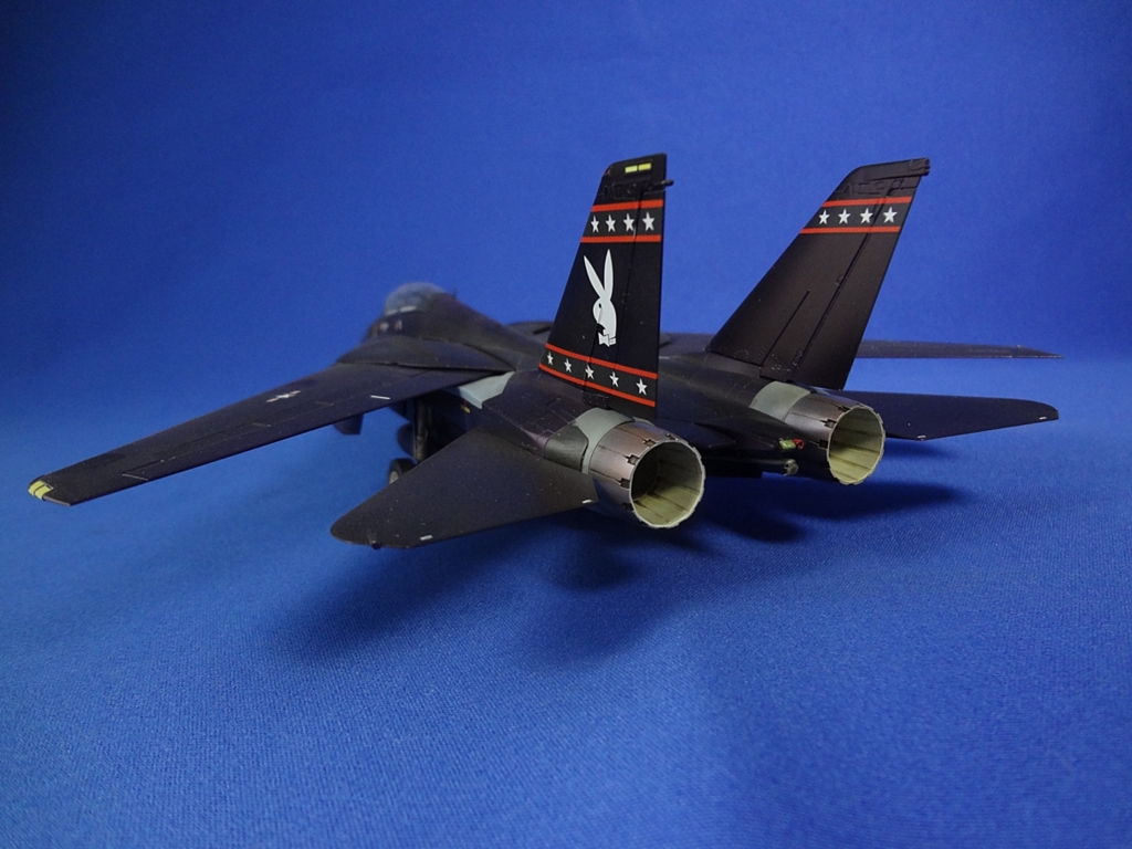 1/72 Scale F-14D Vandy one 