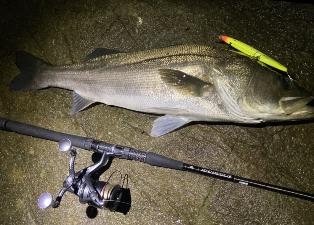 ミッドナイトモンスターMMS-992-TR【インプレ】ナイトリバービッグワン