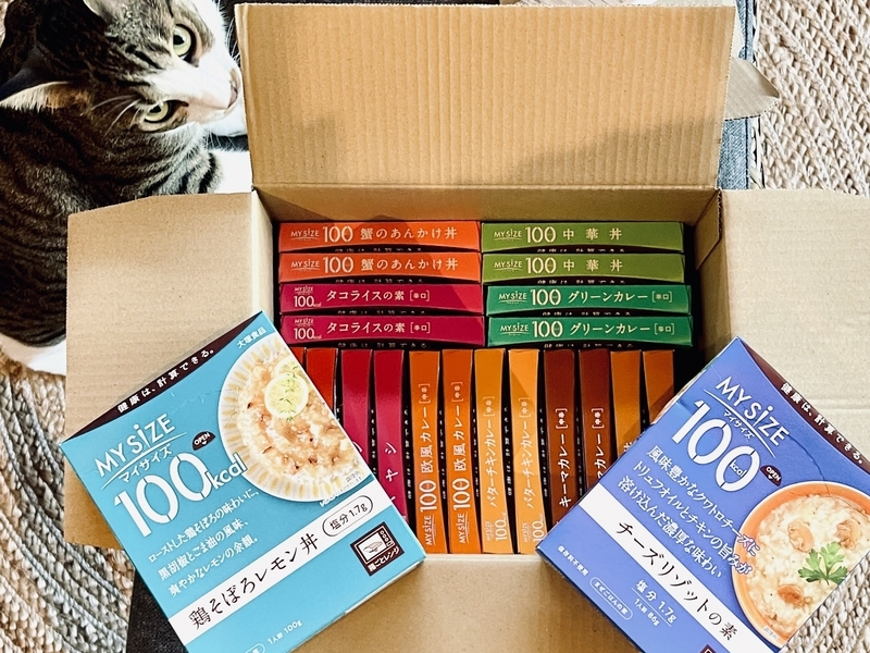 ファンレターとか近況とか - まんがと猫と京都のくらし