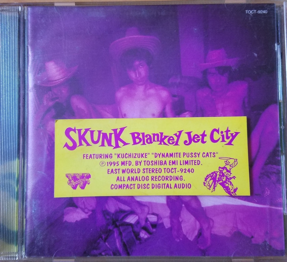 SKUNK【BLANKEY JET CITY】 - 30年前のレコード棚