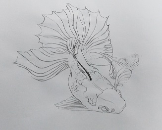 日本画 絹本の描き方 - お絵描きeveryday