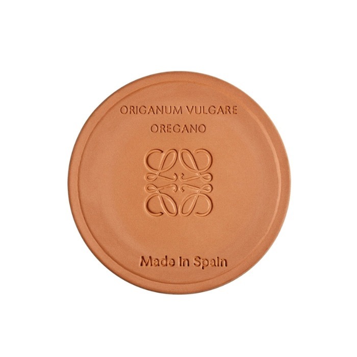 ギフトにも！【LOEWE】オレガノ キャンドル スモール (LOEWE