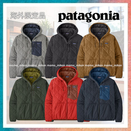 ブルー（青）系 Patagonia(パタゴニア) ダウンジャケット(メンズ