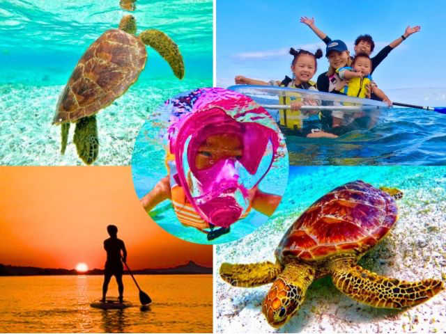 沖縄No1ビーチ【ジャングリア・美ら海水族館・古宇利島近く