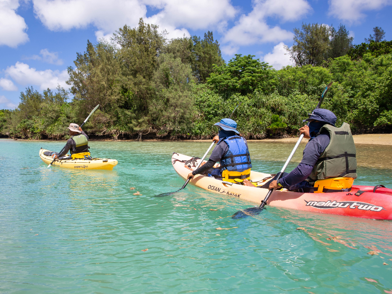 初心者やお子様連れでも安心！】トゥリバー自然探検カヤックツアー
