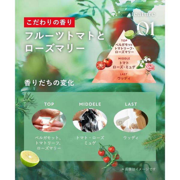 BOTANIST（ボタニスト） ボタニカルシャンプー モイスト フルーツ