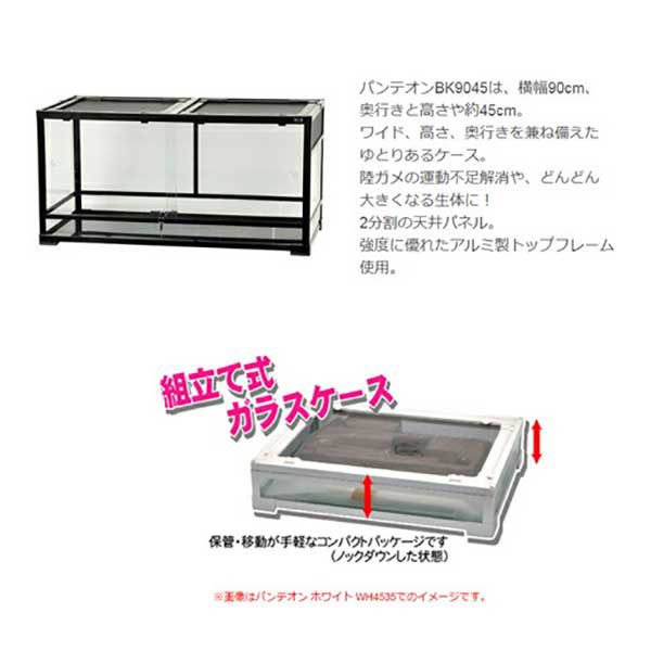 三晃商会 (大型)三晃商会 パンテオン ブラック BK9045 249141 1個
