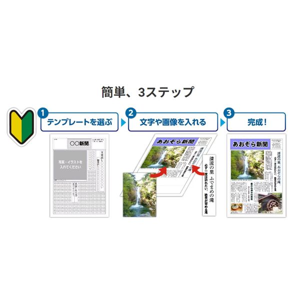 ソースネクスト パーソナル編集長 Ver.16 0000342190 1本 - アスクル
