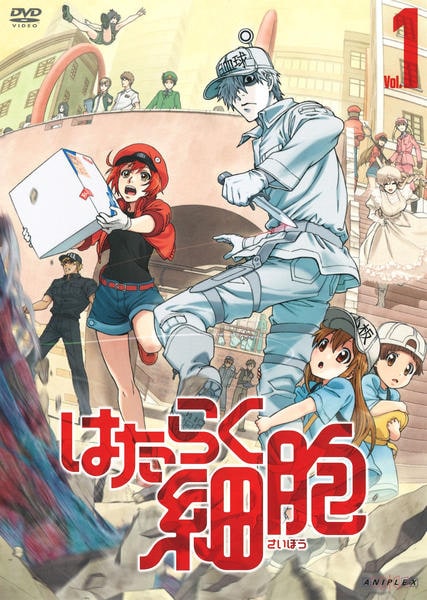 DVD「はたらく細胞 1」作品詳細 - GEO Online/ゲオオンライン
