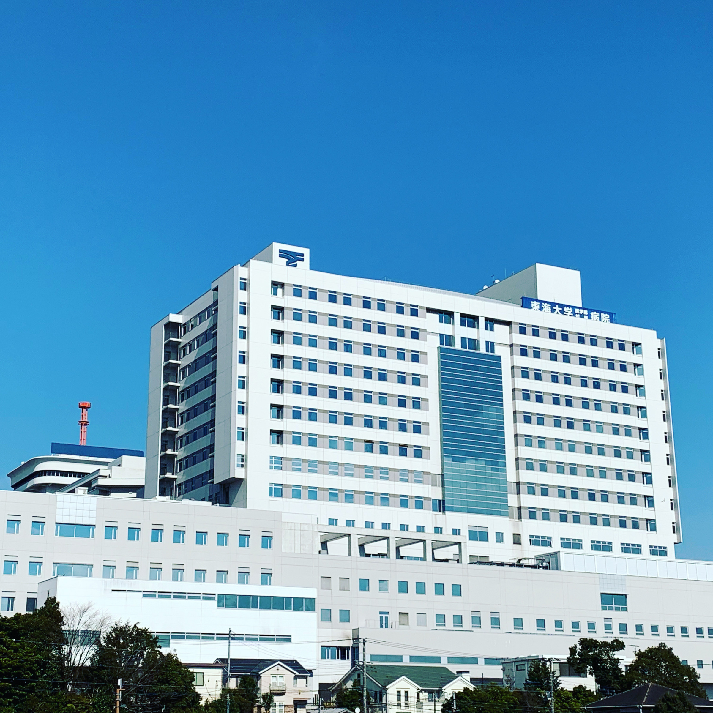 東海大学医学部 血液腫瘍内科