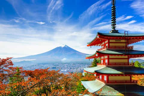 The BEST Japan Baseball tickets & stadium tours 2026 - FREE