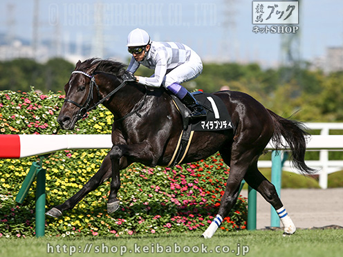 ハーツクライが産駒のJRA通算1000勝を達成 | ニュース | 競馬ブック