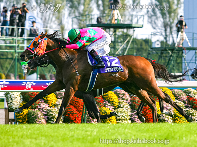 オークス馬カワカミプリンセスが死ぬ | ニュース | 競馬ブック