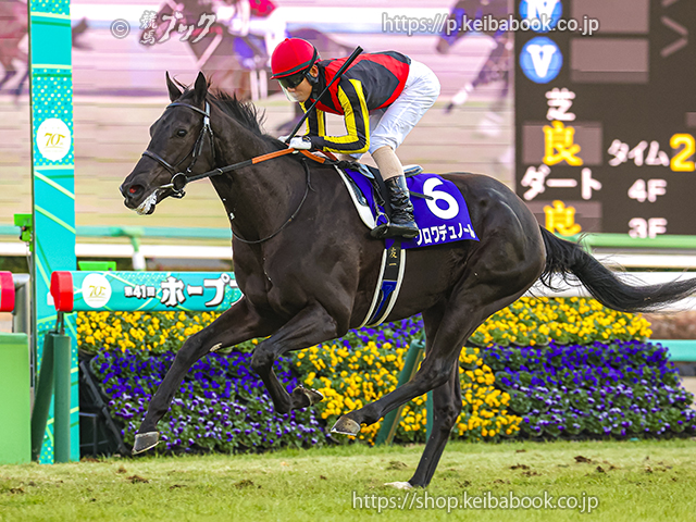 プラダリアが史上4頭目の京都大賞典連覇に挑戦 | ニュース | 競馬ブック