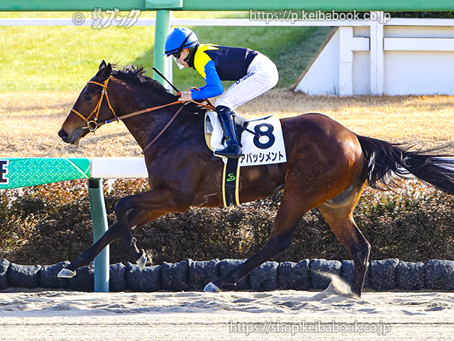 JRA最優秀2歳牡馬ジャンタルマンタル号「朝日杯」フォトブック