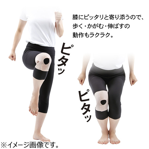 アルファックス お医者さんの膝サポーター ピタ肌 Lサイズ AP－434191