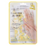 ココスター（KOCOSTAR） ハンドブーケマスク パープル｜【ハンズネット