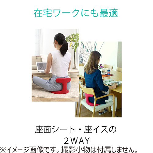 アーユル・チェアー（ayur-chair） メディカルシート ブラック