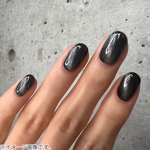 プラネットネイル（PLANET NAIL） 新感覚マグネットネイル PLM08