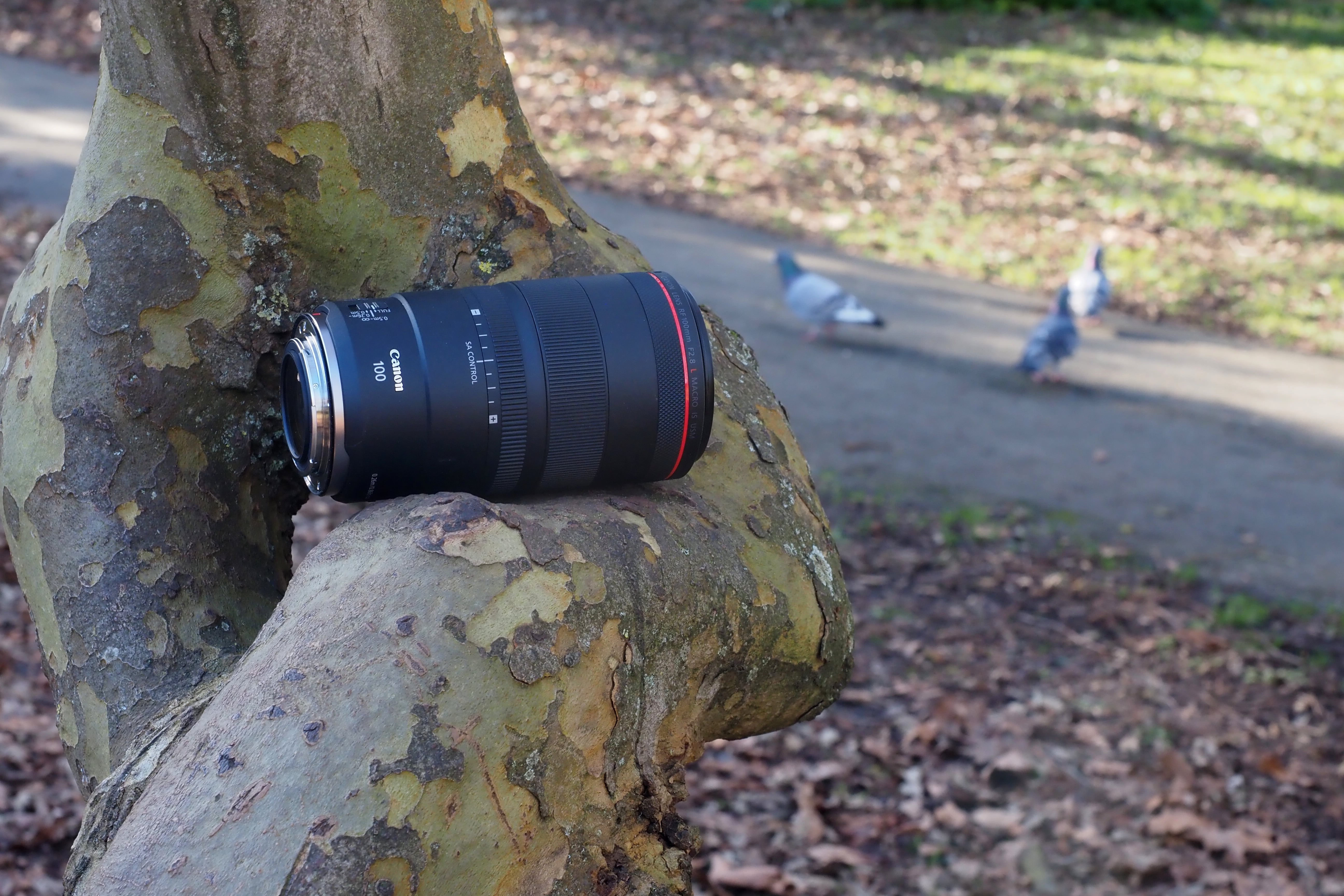 Canon RF 100mm F2.8L Macro IS USM review - hidden depths | TechRadar