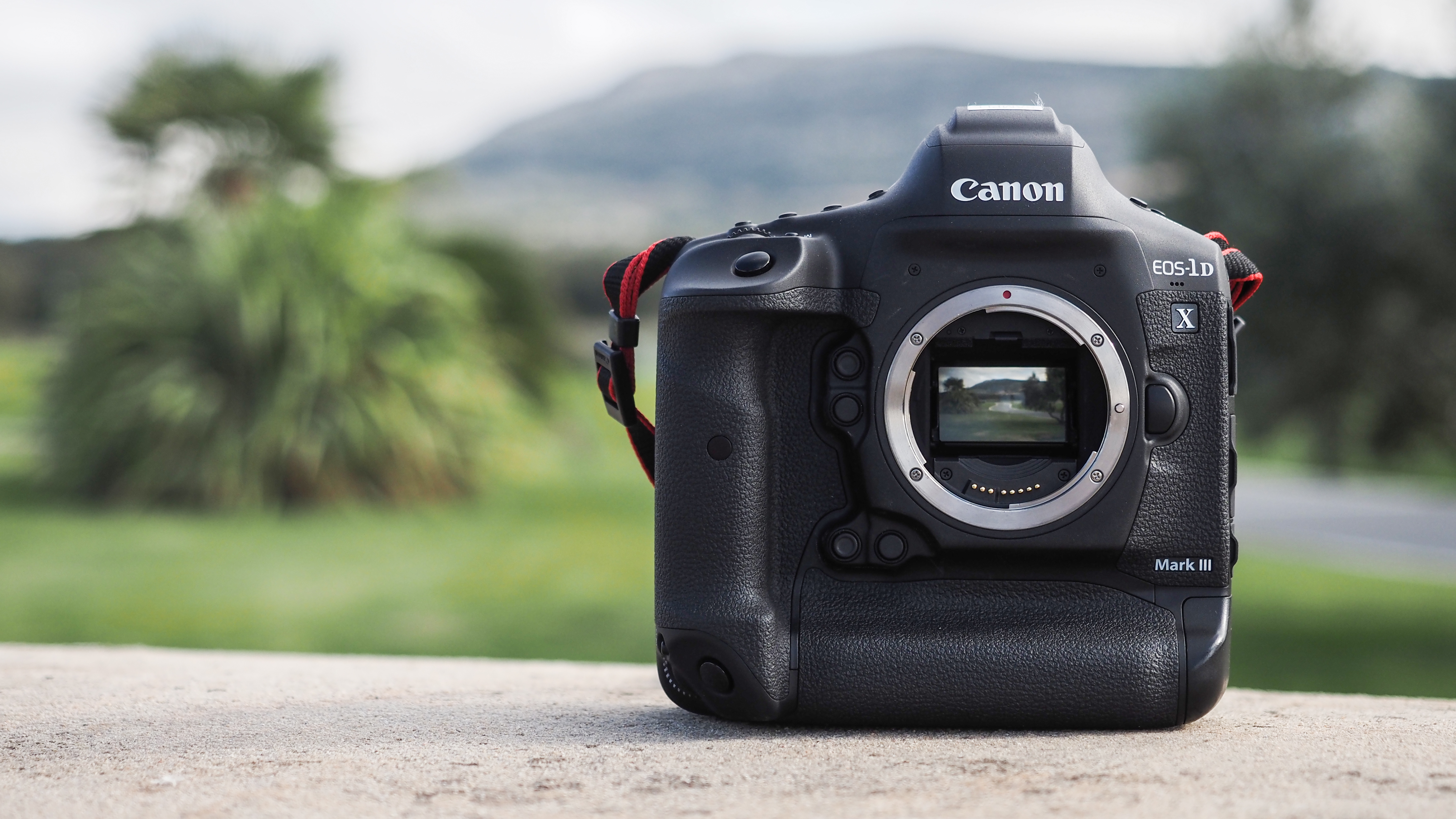 Canon EOS-1D X Mark III: 20.1MP sensor, 5.5K 12-bit RAW, 