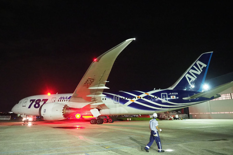 ANA：「サバ機」最後の姿 B787の2号機塗り替えへ | 毎日新聞