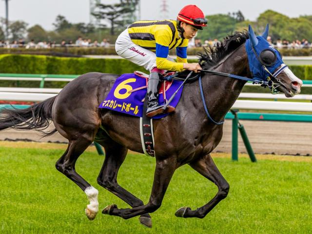 日本ダービー】手塚貴久調教師が史上5人目のクラシック完全制覇なるか