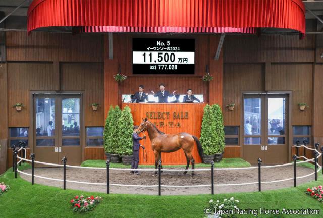 セレクトセール2025】序盤11頭中7頭が早くも「億超え」 常連の金子真人